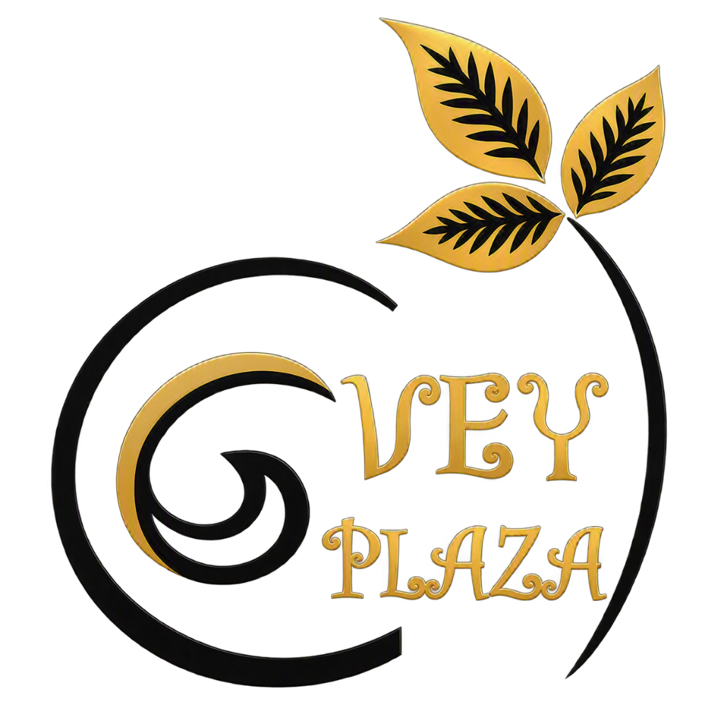 Hôtel Vey Plaza
